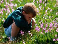 Bild av ung pojke som sitter i ett fält av vilda blommor