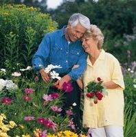 Bild av ett äldre par i en trädgård